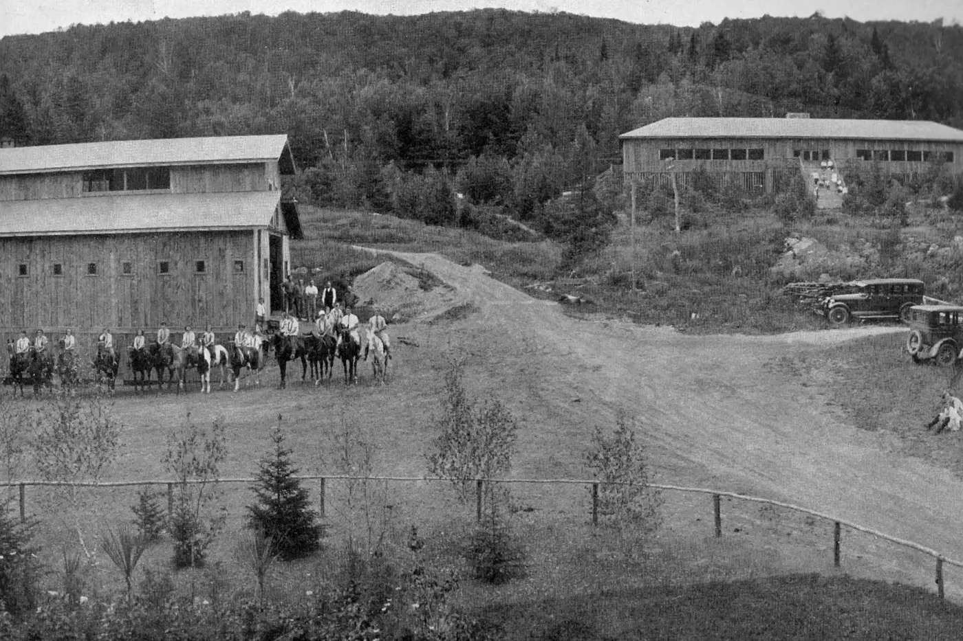 Horses at Teela-Wooket in 1927
