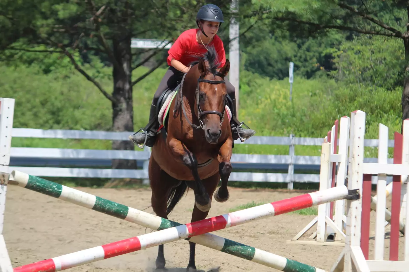 A Windridge camper jumping on a horse.