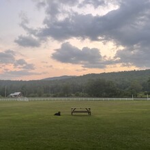 Soccer fields