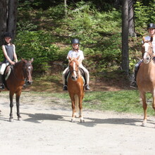 campers horseback riding
