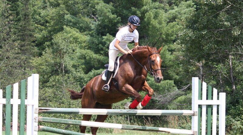 rider on a horse jumping
